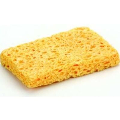 HAVYA SÜNGERİ - 1